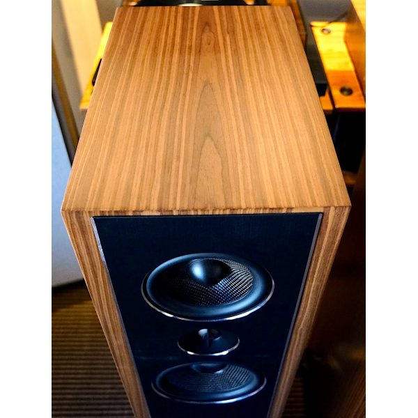 PSB Synchrony T600 | Saturday Audio Exchange