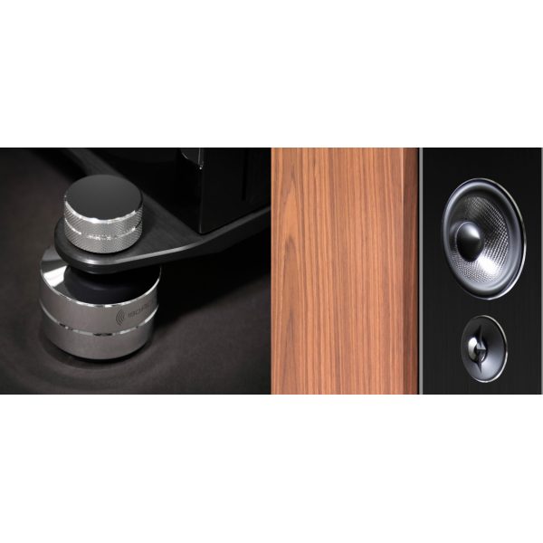 Synchrony T800 | Saturday Audio Exchange